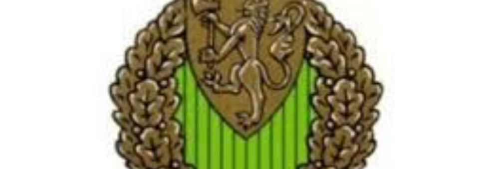 Idrettsmerket